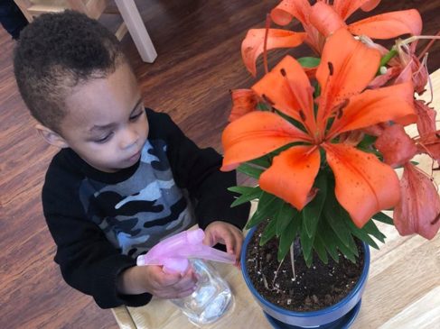 Toddler Watering Plant 2