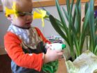 RedRose Montessori - Children in Action 8